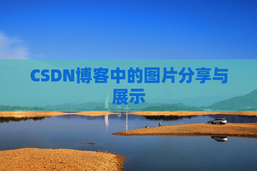 CSDN博客中的图片分享与展示